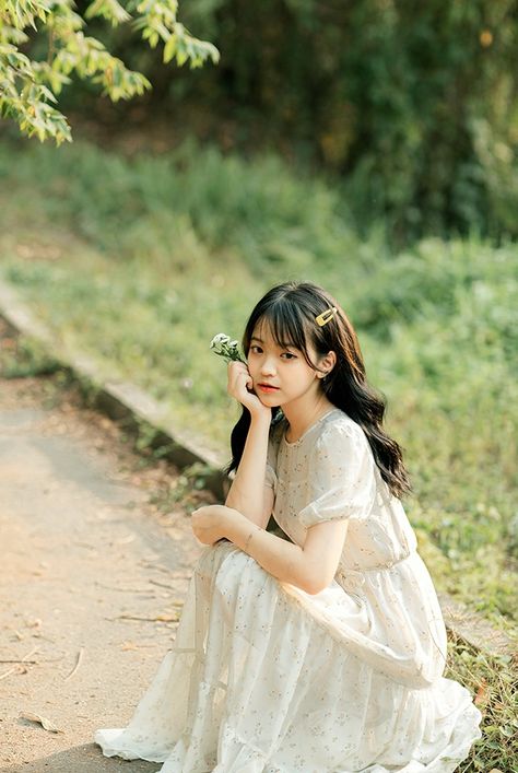 文豪野犬第四季