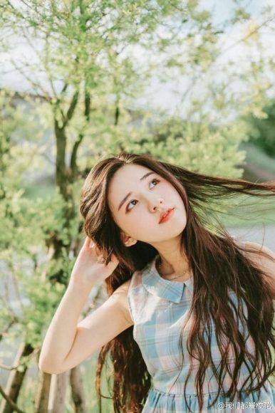 美景之屋在线高清完整版